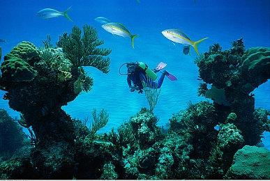 3DM速报：宫崎英高聊「老头环」，Steam周销榜《严阵以待》登顶